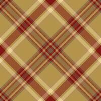 plaid patroon vector. controleren kleding stof textuur. naadloos textiel ontwerp voor kleren, papier afdrukken. vector