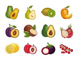 bundel van vers fruit stel pictogrammen vector