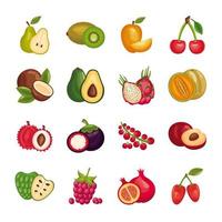 bundel van vers fruit stel pictogrammen vector