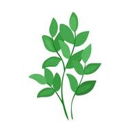 Woud botanisch element van bosbessen, bosbes. een groen plant, een struik in een tekenfilm stijl. vector