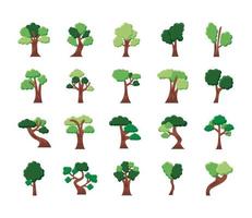 bundel van twintig bomen instellen collectie iconen vector