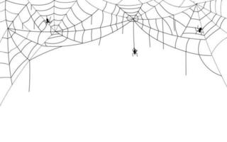 halloween spin web grens, spookachtig spinnenwebben met hangende spinnen vector