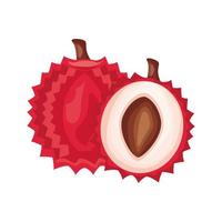 lyche vers heerlijk fruit gedetailleerde stijlicoon vector