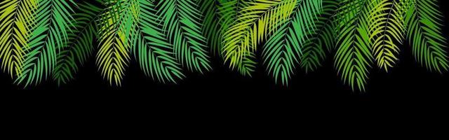 prachtige palmboom blad silhouet achtergrond vector