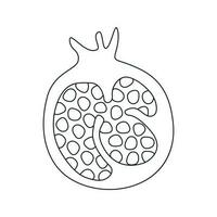 vector illustratie van granaatappel in tekening stijl