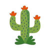 cactus Mexicaanse plant vlakke stijl vector