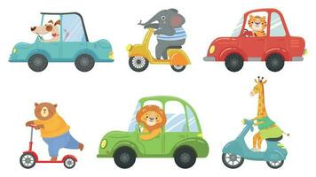 schattig dieren Aan vervoer. dier Aan scooter, het rijden auto en dierentuin reizen tekenfilm vector illustratie reeks