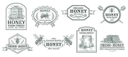 natuurlijk honing kenteken. bijen boerderij label, wijnoogst honing Product hand- getrokken badges en bij embleem vector illustratie reeks