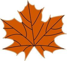 geïsoleerd herfst blad in bruin kleur. vector