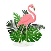 vector illustratie van een roze flamingo.