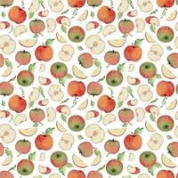 hand- getrokken waterverf appel fruit, rijp, vol en plakjes rood en groen met bladeren. naadloos patroon. geïsoleerd voorwerp Aan wit achtergrond. ontwerp voor muur kunst, bruiloft, afdrukken, kleding stof, omslag, kaart. vector