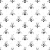 bee hand getrokken naadloze patroon, monochrome achtergrond vectorillustratie vector