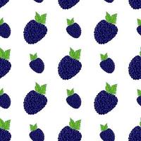 fruit naadloze patroon als achtergrond met hand getrokken skech blackberry vectorillustratie vector