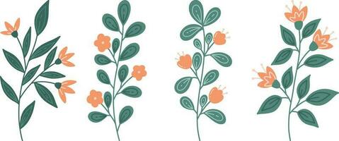 reeks van bloemen elementen. vector illustratie in tekening stijl.