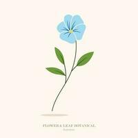 blauw bloem en blad botanisch illustratie. vector