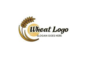 wijnoogst natuur tarwe symbool logo ontwerp vector