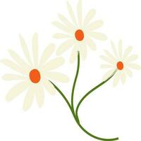 illustratie van drie bloemen. vector