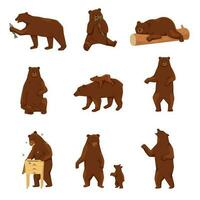 bruin grizzly bears reeks vector