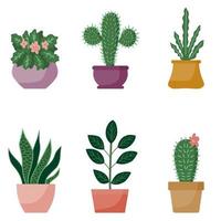 potplanten collectie, cartoon design. vetplanten en huisplanten. set huis kamerplant vector in vlakke stijl.