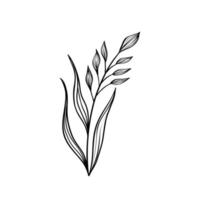 plant tekening geïsoleerde pictogram vector