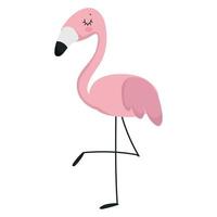 flamingo dierlijk beeldverhaal vector