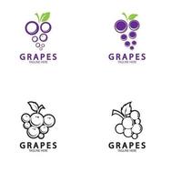 druiven vector logo pictogram geïsoleerd