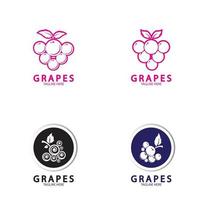 druiven vector logo pictogram geïsoleerd