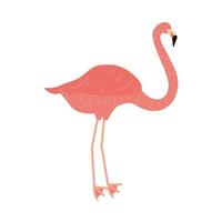 flamingo hand getrokken vector