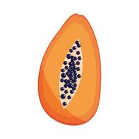 papaja tropisch fruit vector