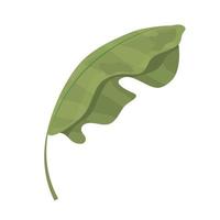 groene bladpalm vector