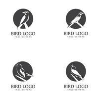 vogel logo vector pictogram ontwerpsjabloon