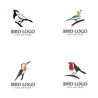 vogel logo vector pictogram ontwerpsjabloon