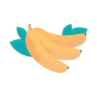 tropisch bananenfruit verse gezonde maaltijd vector