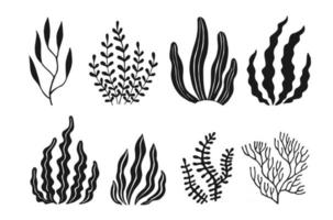 set van zeewier iconen mariene planten zijn geïsoleerd vector