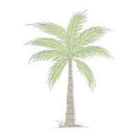 kokosnoot boom lijn kunst tekening. single doorlopend lijn tekening van kokosnoot palm boom. decoratief kokosnoot palm boom concept. kokosnoot boom modern een lijn tekening vector illustratie. vector illustratie