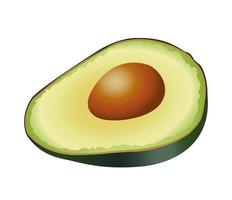 verse avocado halve natuur pictogram vector
