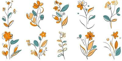 wijnoogst bloemen hand- getrokken botanisch bloem vector reeks verzameling bundel