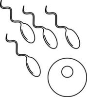 afbeelding van sperma binnengaan naar zaadknop in beroerte stijl. vector
