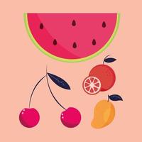 tropisch fruit instellen vector