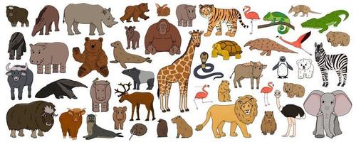 set van cartoon geïsoleerd overzicht savanne afrikaans amerikaans bos dieren vector tijger leeuw neushoorn buffel zebra olifant giraf krokodil tapir nijlpaard beer orang-oetan pinguïn flamingo voor kinderen