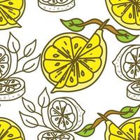 citroen fruit patroon naadloze vector sjabloon