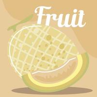 meloen vers fruit biologisch gezond voedsel vector