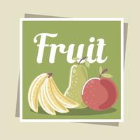 fruit verse biologische appel, banaan en peer vector