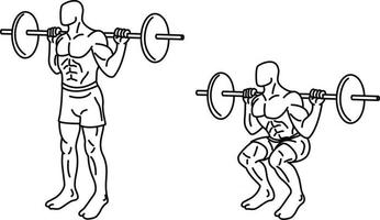 squat-oefeningen en trainen met gewichten vector