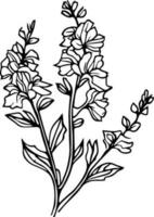 potlood delphinium tekening, juli geboorte bloem ridderspoor tekening, minimalistische juli geboorte bloem ridderspoor tatoeëren, ridderspoor juli bloem tatoeëren, juli geboorte bloem tatoeëren, zwart juli geboorte bloem clip art. vector