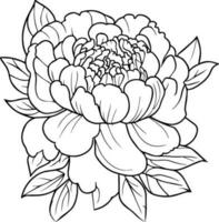 illustratie van een anjer bloem, vector schetsen potlood kunst, boeket bloemen kleur bladzijde en boek geïsoleerd Aan wit achtergrond clip art. bloesem pioen tatoeëren ontwerpen, een lijn tekening pioen bloemen