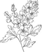 delphinium tatoeëren zwart en wit, potlood delphinium tekening, juli geboorte bloem ridderspoor tekening, minimalistische juli geboorte bloem ridderspoor tatoeëren, mooi bloem kleur bladzijde, middernacht blauw zijde ridderspoor vector