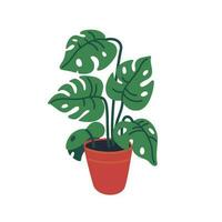 monstera in de pot, vector fabriek in de bloempot. vector illustratie in vlak tekenfilm stijl Aan wit achtergrond