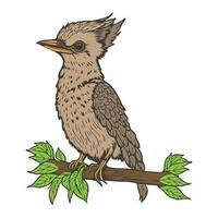 kookaburra vogel dier karakter tekenfilm vector illustratie