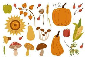 herfst oogst set. verzameling van rijp heerlijk groenten, vers fruit, bessen, paddestoelen, laat bloemen. kleurrijk elegant seizoensgebonden vector illustratie in modern stijl.